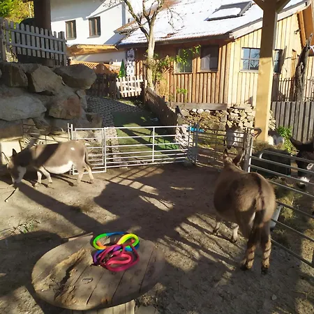 Eselhuette Daxstein Apartmán Schöllnach